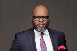 Inflations in Nigeria mostly caused by price gouging- Tope Fasua....Says worst economic times over for Nigeria